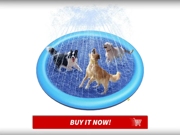 Splash-Pad-Pet-Summer-Essentials-MAIN