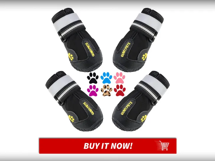 Paw-Protector-Booties-Pet-Summer-Essentials-MAIN