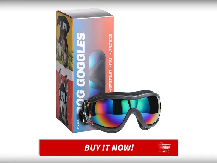 Dog-Sunglasses-Pet-Summer-Essentials-MAIN
