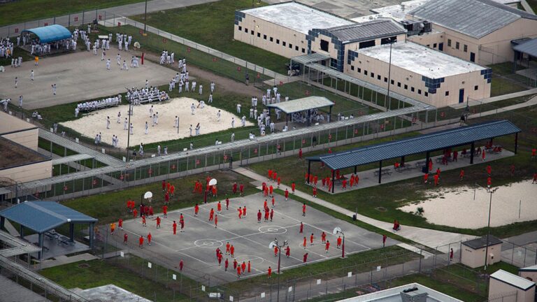 ICE Considers Expanding Detention Space in 14 Locations—Including Guantanamo Bay and Virgin Islands
