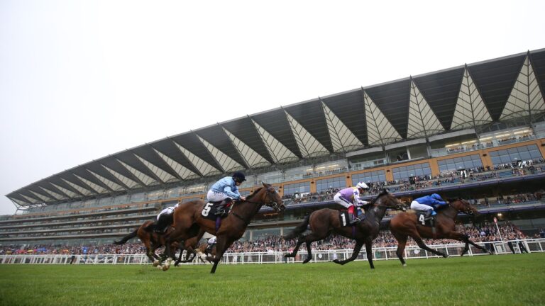 Today on Sky Sports Racing: Silver Dominion faces Alfred Wallace in Ascot’s Pat Eddery Stakes with Uttoxeter and Chepstow also live on Friday | Racing News