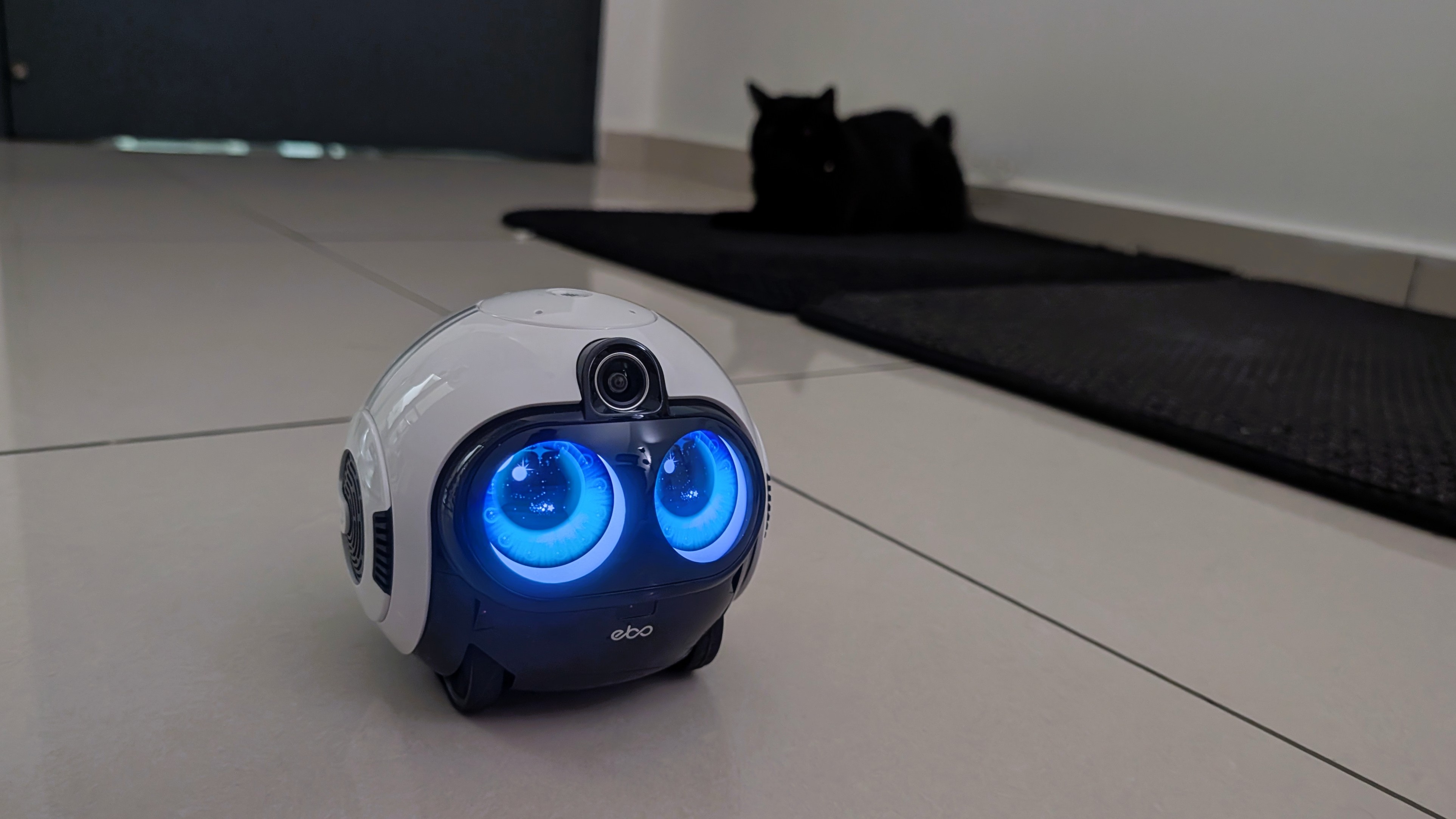 Enabot EBO Max family bot and a black cat in a house