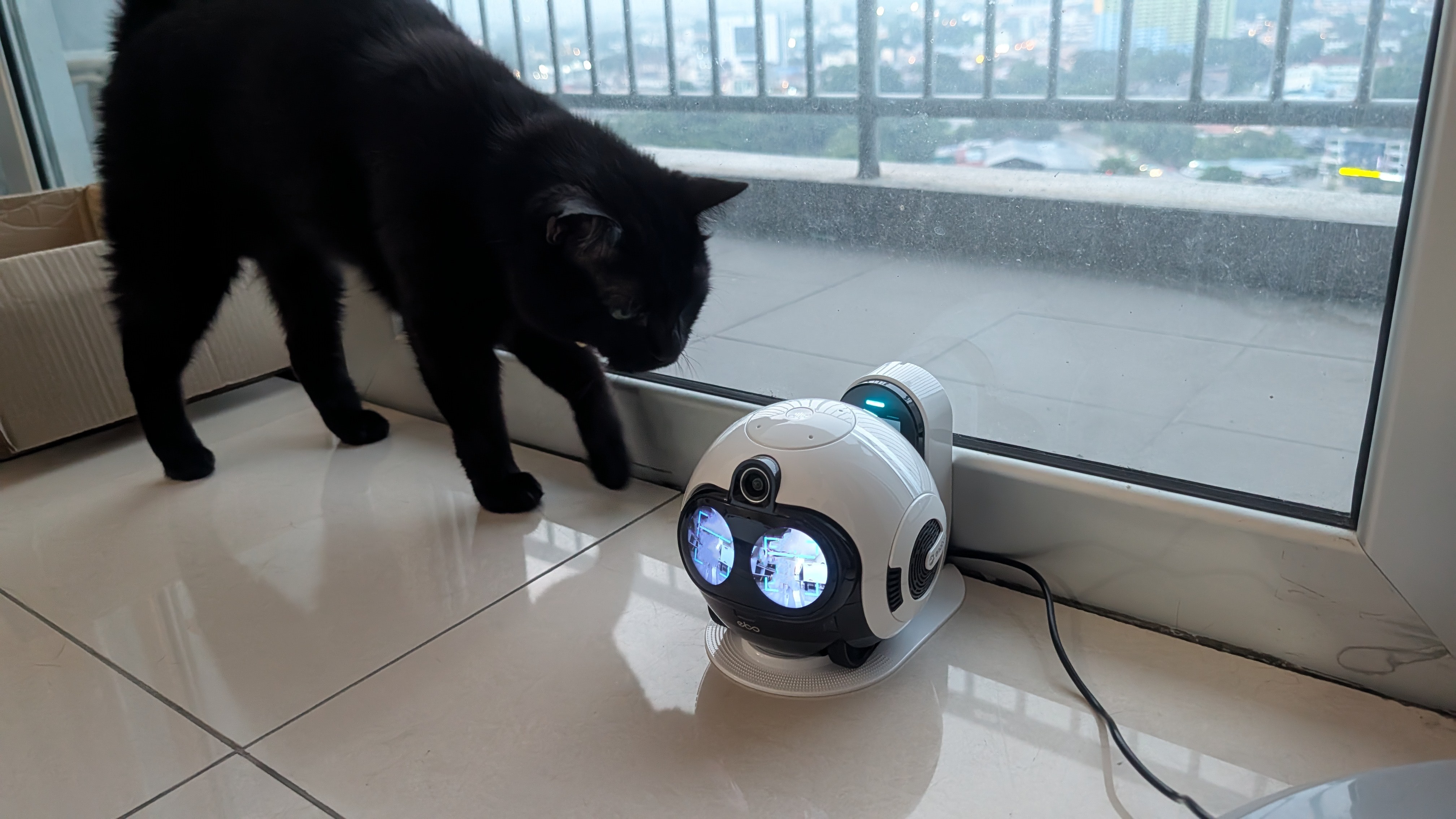 Enabot EBO Max family bot and a black cat in a house