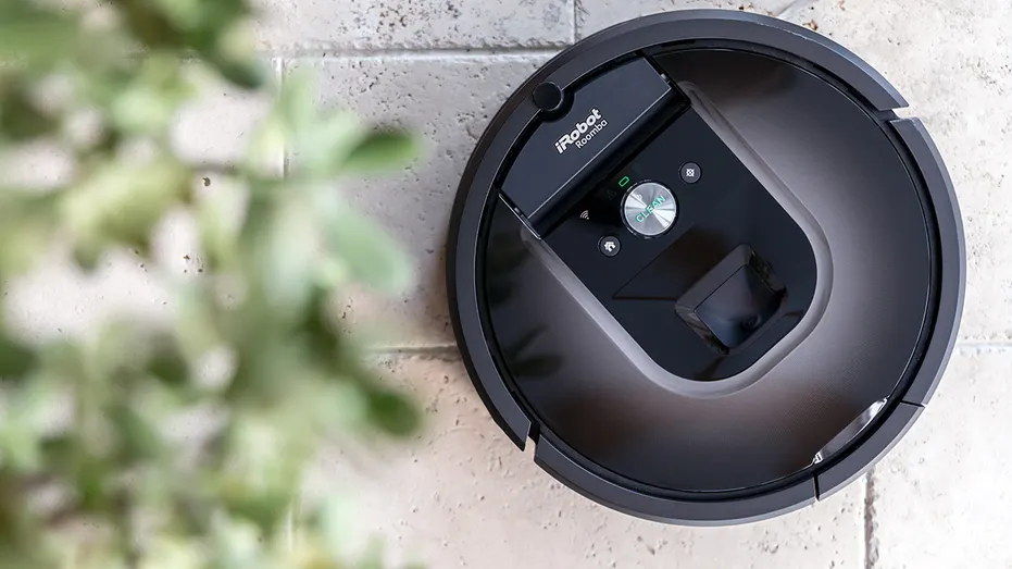 roomba near plant outside