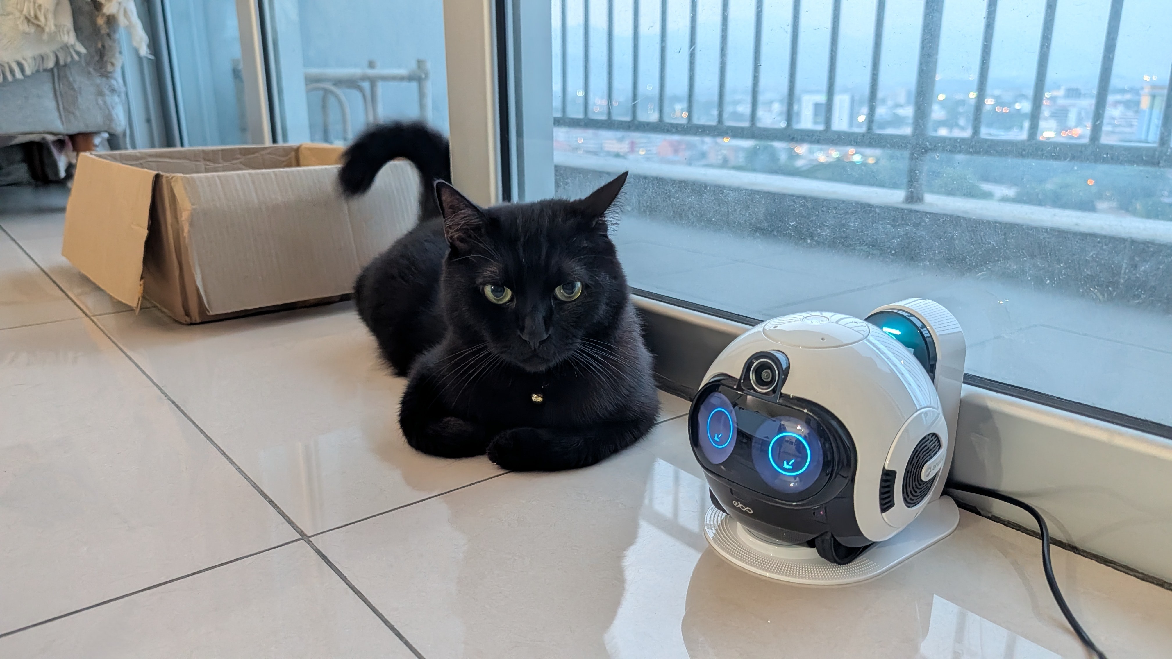 Enabot EBO Max family bot and a black cat in a house