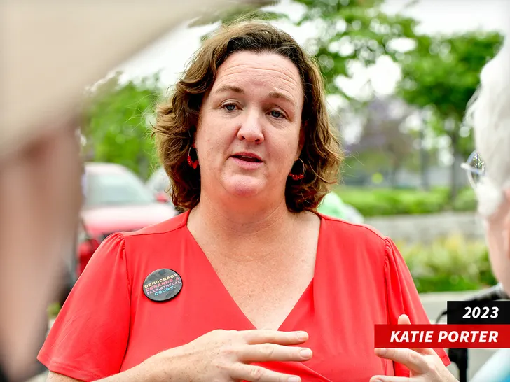 katie porter sub getty swipe