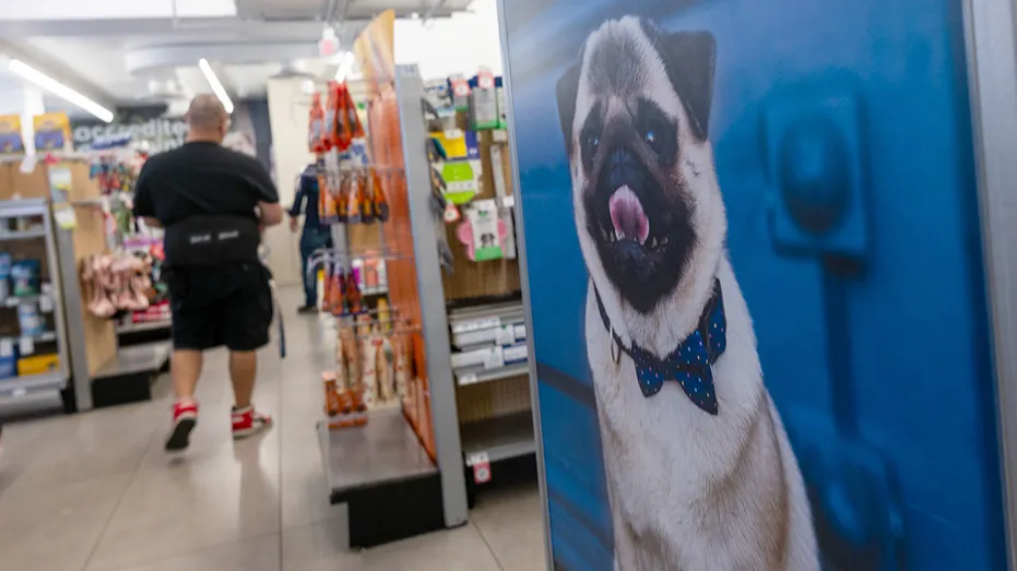 A shopper at a pet store