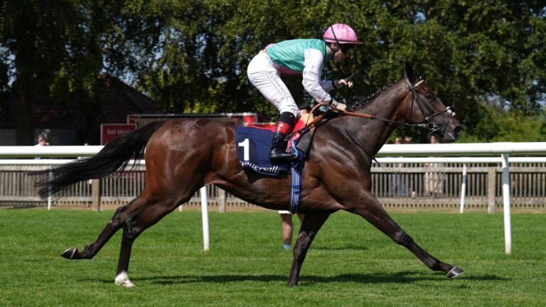 Prix Rothschild: Blue Bolt confirms superiority over Precise in Deauville Group 1 | Racing News