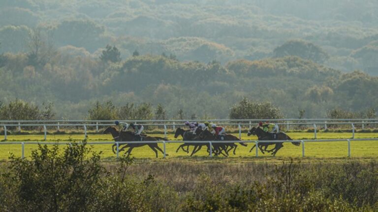 Today on Sky Sports Racing: Perfect Nation and Avionics face off in Ffos Las feature with Lingfield also live on Tuesday | Racing News