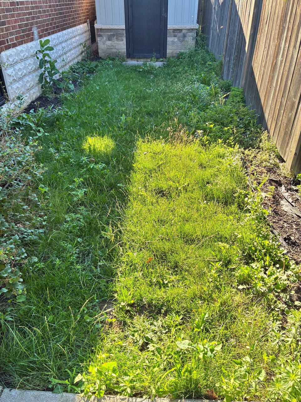 Side of shed messy