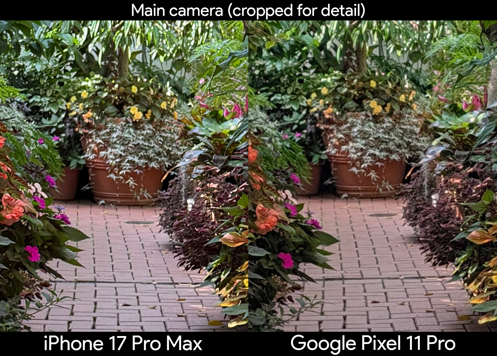 Comparing two photos of plants in a greenhouse between the iPhone 17 Pro Max and Google Pixel 11 Pro