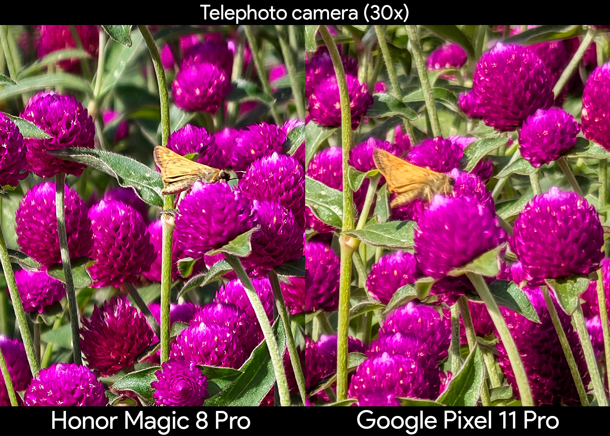 Comparing super zoom photos taken from the Google Pixel 11 Pro and its competitors