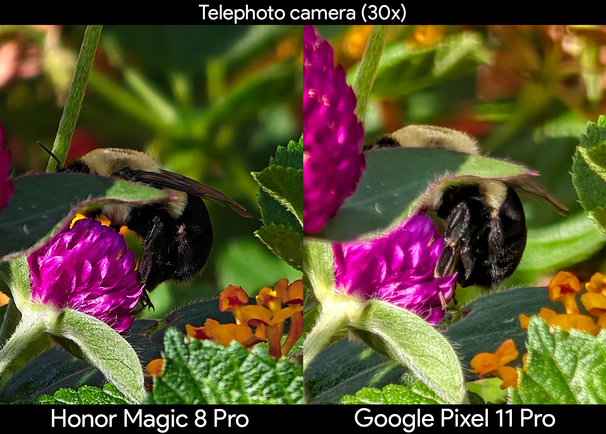Comparing super zoom photos taken from the Google Pixel 11 Pro and its competitors