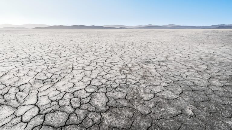 Our Approach to Drought and Wildfire Is Economically Backwards