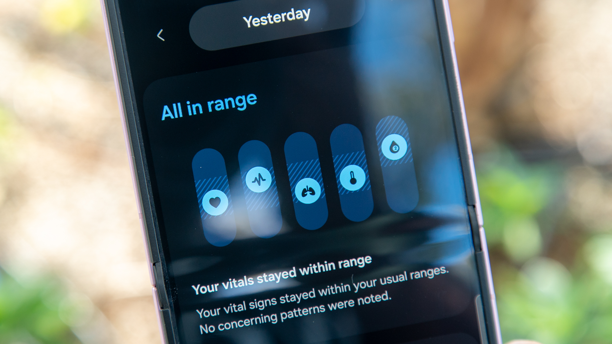 Vitals on the Samsung Health app