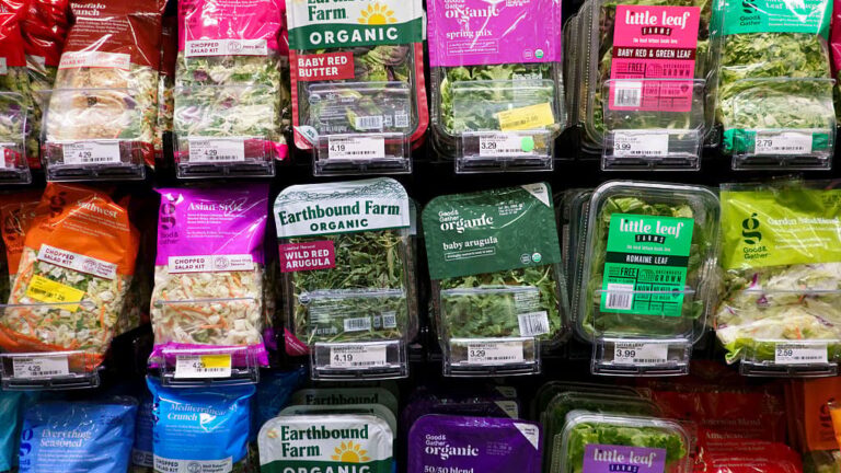 E. coli, Salmonella, Cyclospora: Is the U.S. Seeing a Surge in Foodborne Illnesses?