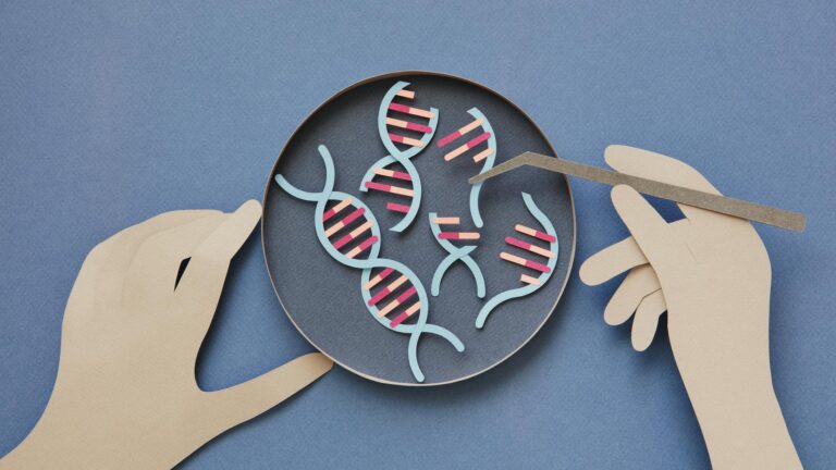 A One-Time Treatment for High Cholesterol Shows Promising Results