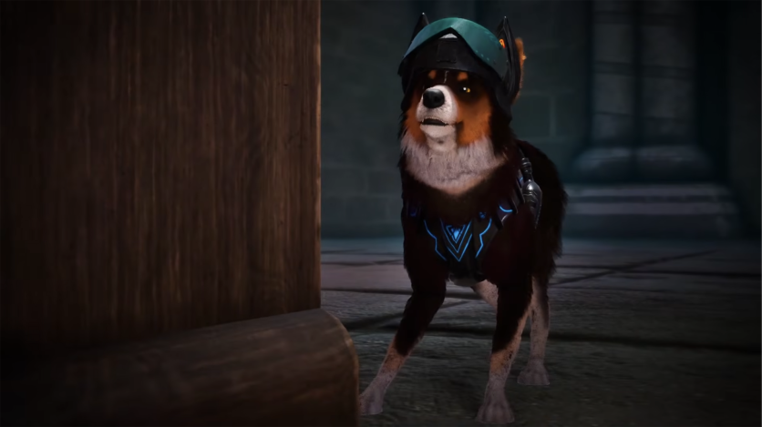 Barkour