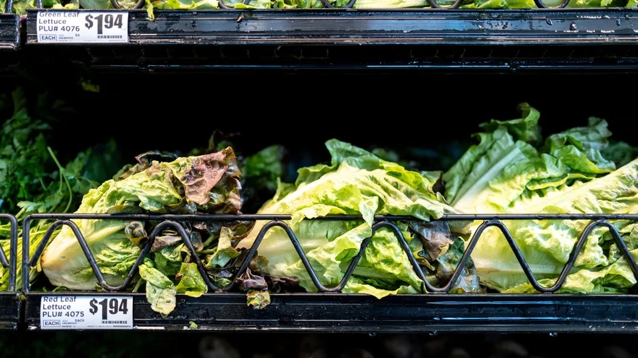 Lettuce is displayed