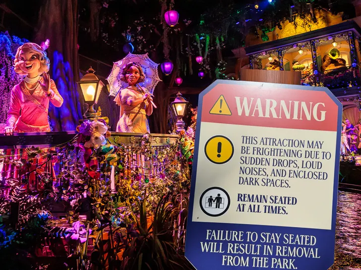 Tiana's Bayou Adventure at Disneyland warning