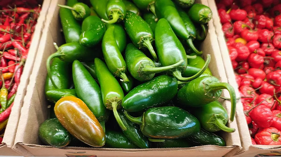 Fresh green jalapeño peppers displayed for sale in the produce section of a supermarket