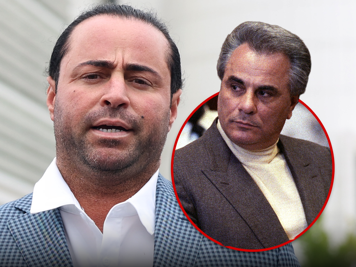 main carmine gotti agnello john gotti getty