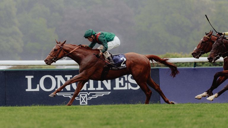 Rayif goes for Prix Jacques Le Marois gold on Sunday (Photo: Zuzanna Lupa)