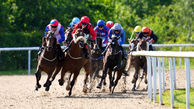 Today on Sky Sports Racing: Brighton, Lingfield, Ripon and Wolverhampton feature live on Tuesday | Racing News