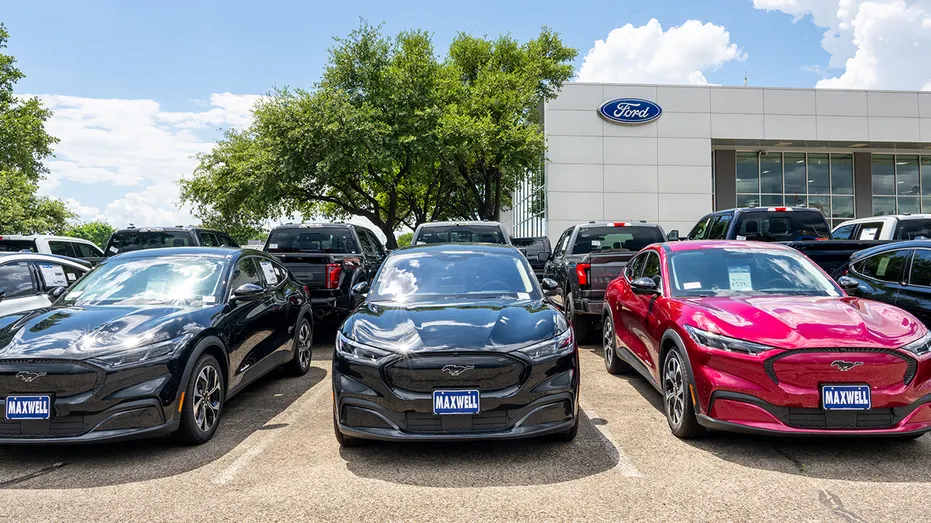 ford dealership with mustangs