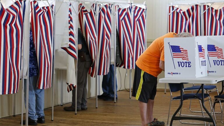Voters Are Turning to AI for Election Help. The Answers Aren't Always Right
