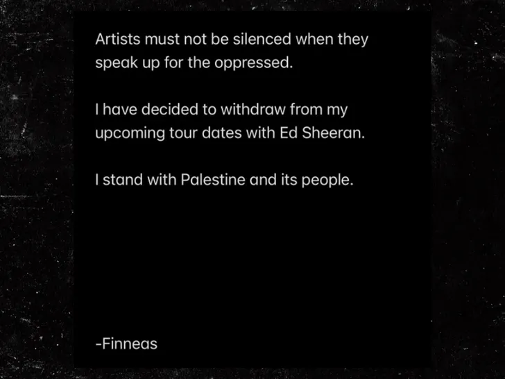 finneas instagram post