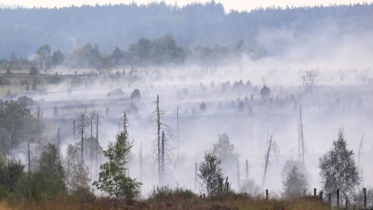 In Europe, Today's Children Will Live Through Nearly Twice as Many Fire Weather Days Than Their Grandparents