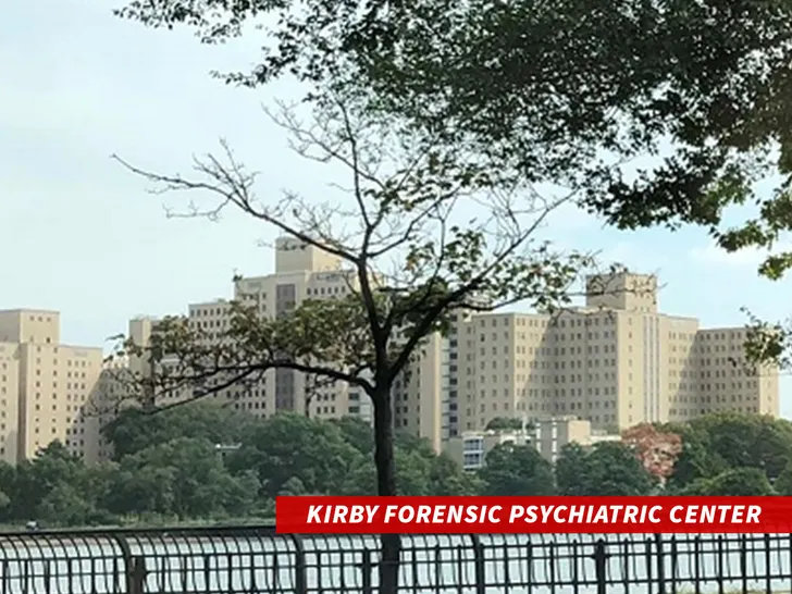 Kirby-Forensic-Psychiatric-Center-omh.ny.gov-1