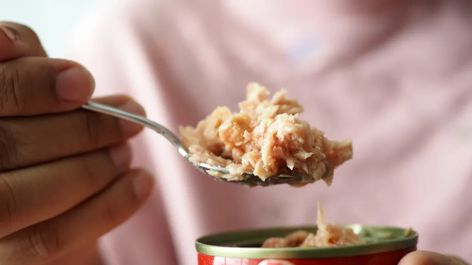 spoon pick canned tuna closeup