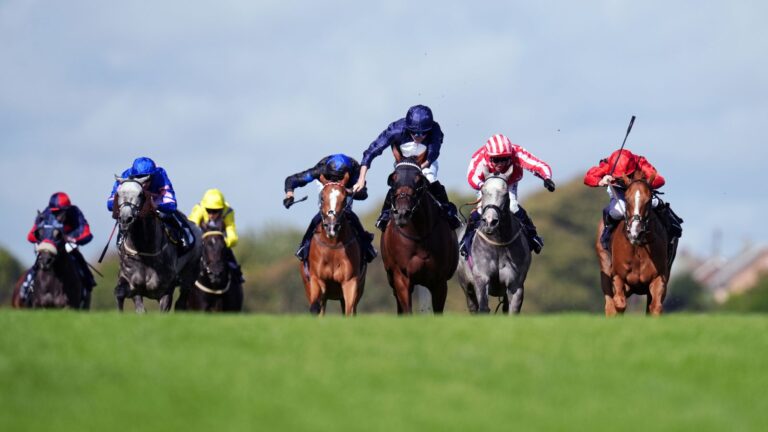 Today on Sky Sports Racing: Brighton, Newton Abbot and Wolverhampton | Racing News