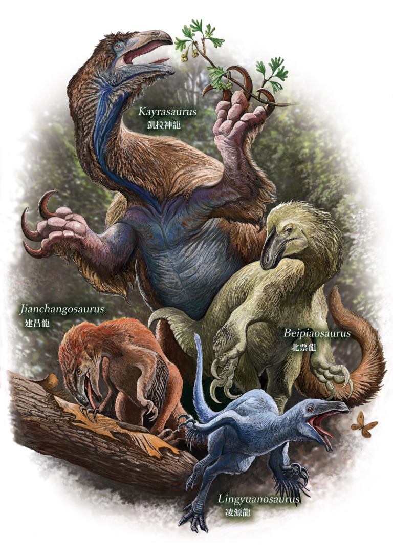 New China Dinosaur Species Sets Tooth Record; Hints at Niche-Splitting in Ancient Ecosystem