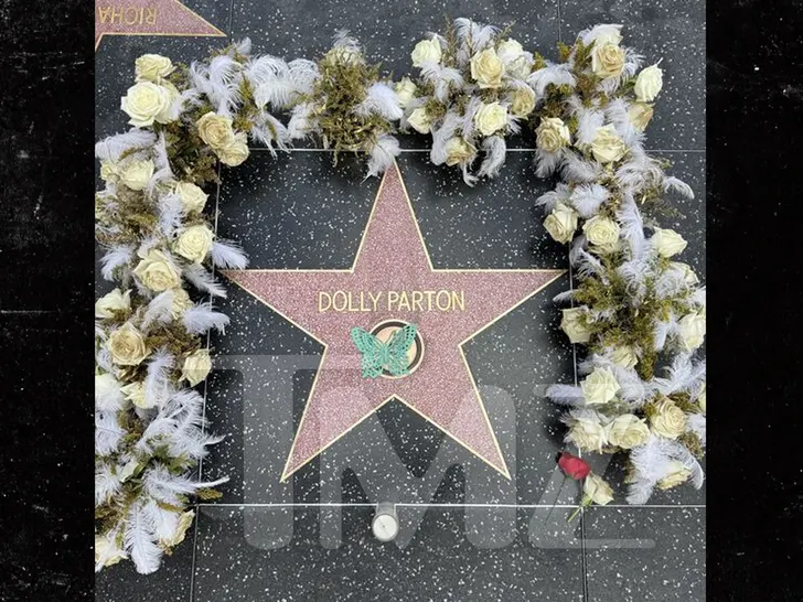 dolly parton star of fame tmz wm MAIN