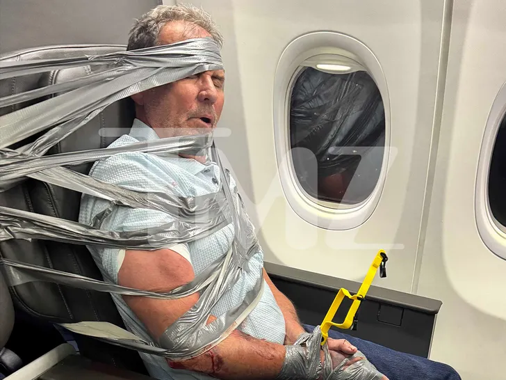 sub-American-Airlines-passenger-tmz-1