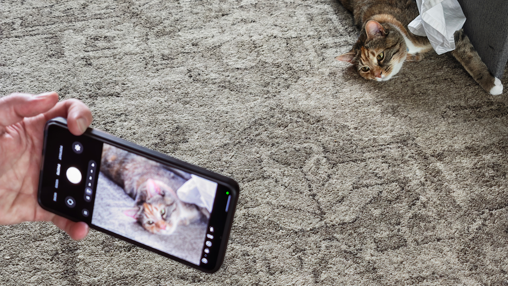 Taking a photo of a cat using the 5x telephoto lens on a Samsung Galaxy S26 Ultra