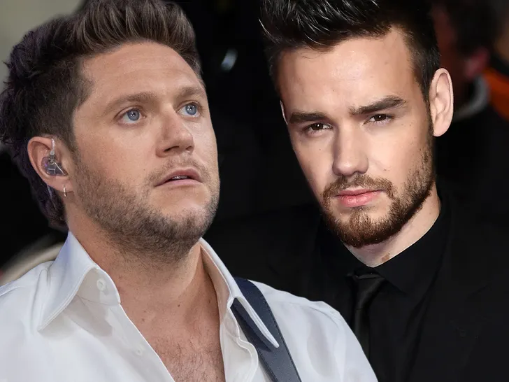 liam payne niall horan getty