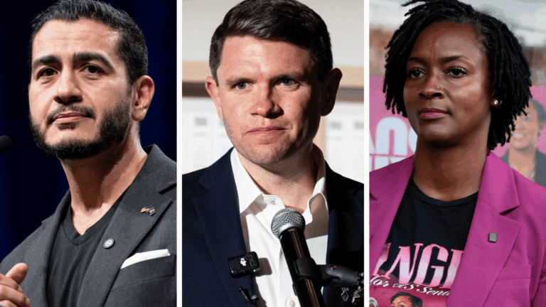 Democrats in Key Senate Races Embrace 'Capitalist' Label