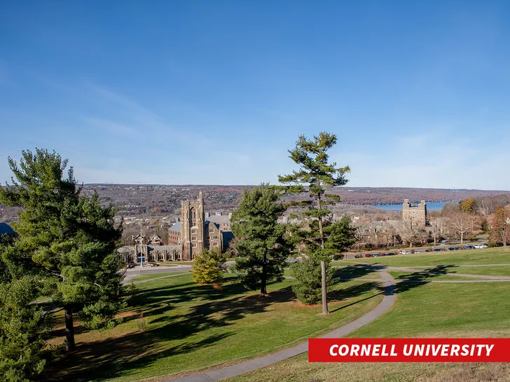cornell university getty 1