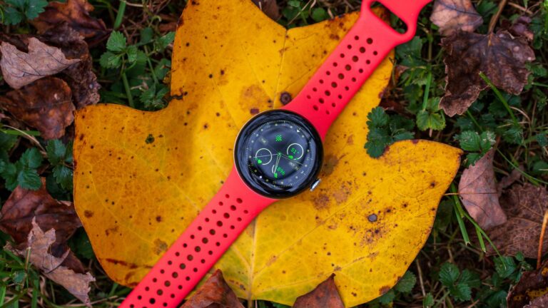 Old Pixel Watches will lose ‘Safety Signal’ support: here’s what that means for impacted users