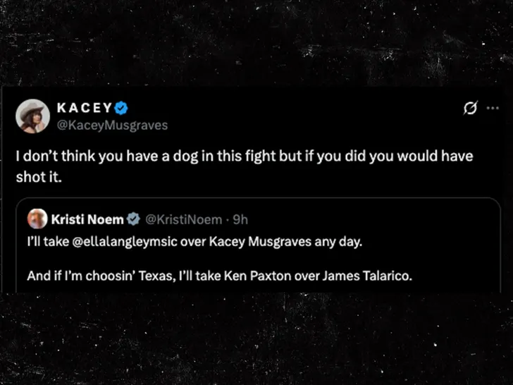 kacey musgraves and kristi twitter exchange 2