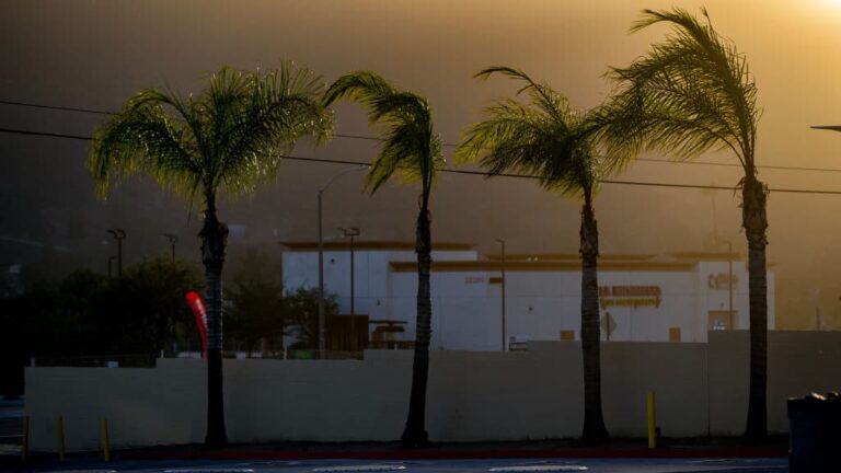 Santa Ana Winds Trigger Wildfire Warnings in Southern California. Here's What To Know
