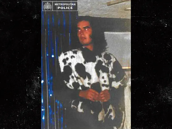 russel brand black and white coat metropolitan police 3