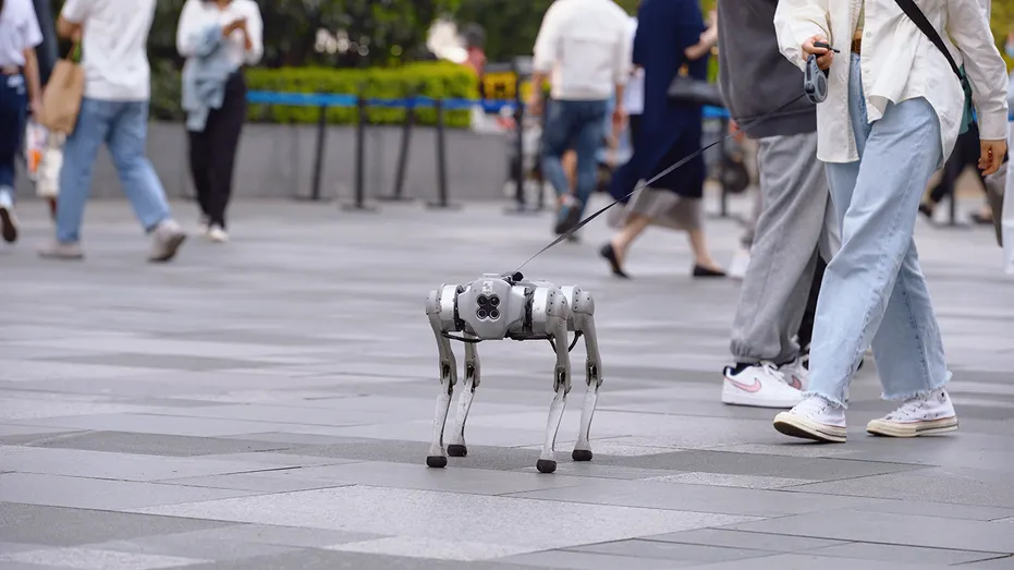 A Girl Walks Robot Dog