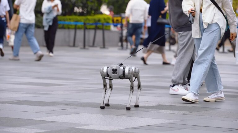 San Francisco startup reportedly offered $20 an hour to walk robot dogs