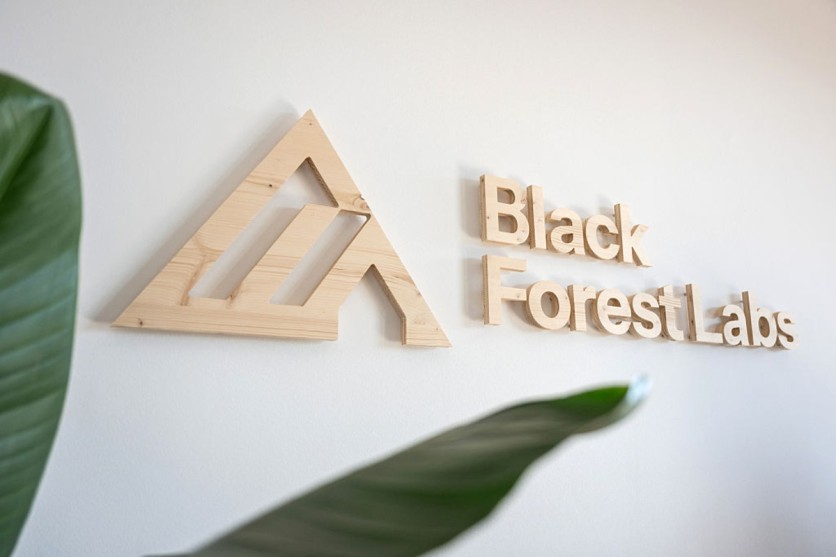 Black Forest Labs Launches Flux 3 Image: JSON Bounding Boxes Lock Unchanged Pixels Numerically
