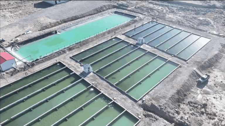 China Wants to Sell The World on Xinjiang Farmed-Fish